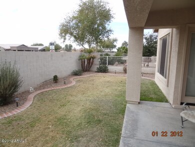 back yard