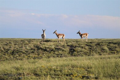 7888 Nitro Rd, Casper, WY 82646 - photo 5