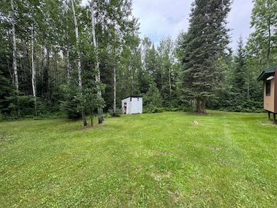 TBD Tangnes Forest Rd, Southeast Roseau Unorg. Terr., MN 56673 - photo 5