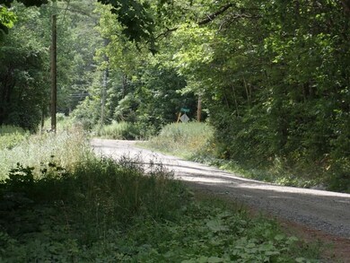 0 Denio Rd unit 5059215, Barnet, VT 05819 - photo 4