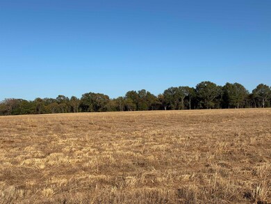 000 Fm 1653, Ben Wheeler, TX 75754 - photo 4