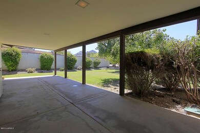 Back Patio