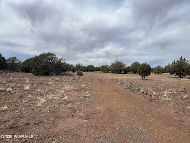 40850 N Stagecoach Blvd, Ash Fork, AZ 86320 - photo 4