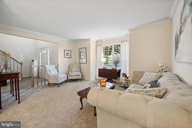 6304 Pitch Pine Ct, Sykesville, MD 21784 - photo 7