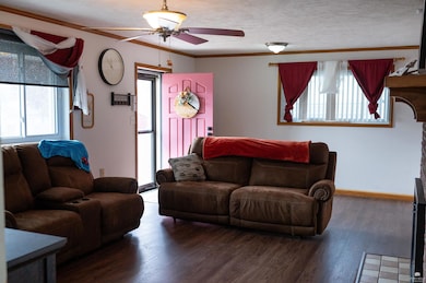 517 NE 12th St, Abilene, KS 67410 - photo 3