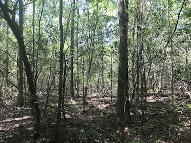 010 R C Thomas Rd, Hattiesburg, MS 39401 - photo 2