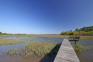 Dock  View