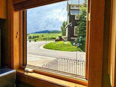 404 Horseshoe, Crested Butte, CO 81225 - photo 6