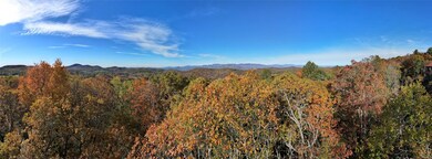 TBD Eastside Duck Mountain Rd, Scaly Mountain, NC 28775 - photo 4