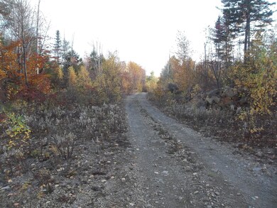 M70 L2 Airline Rd, Alexander, ME 04694 - photo 2