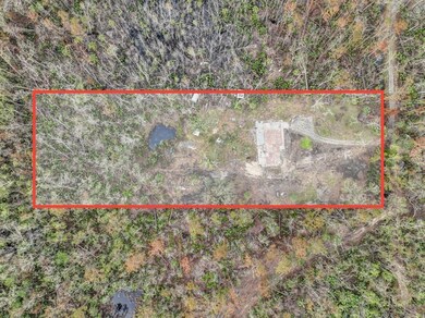 409 6th St E, Steinhatchee, FL 32359 - photo 3