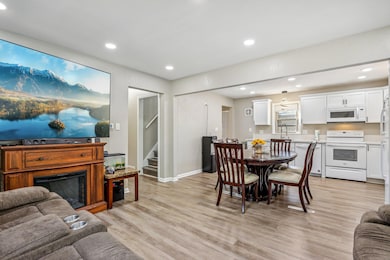 Living / Kitchen