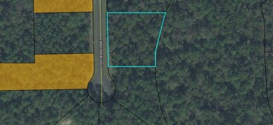 0 Hog Hedge unit 301978, Crawfordville, FL 32327 - photo 2