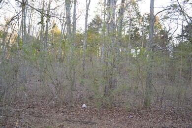 126 Lorien Cir, Shelbyville, TN 37160 - photo 6