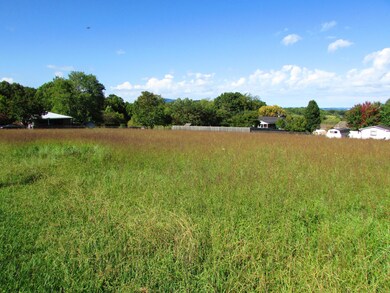 cherry tree lane (7)