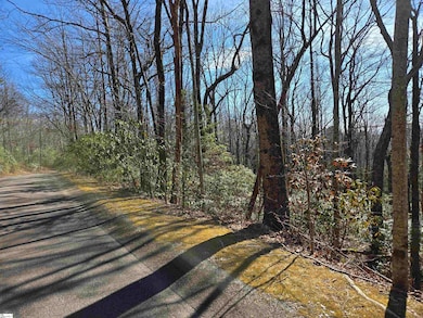 112 Birchbend, Caesars Head, SC 29635 - photo 3