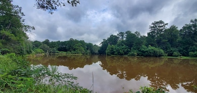 2217 Mcleod Rd, Goshen, AL 36035 - photo 4