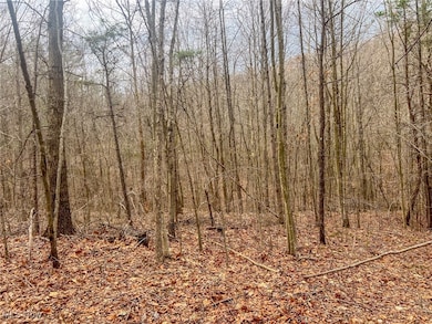 0 Ponetown Rd, Ray, OH 45672 - photo 6