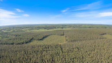 XXX Traven Rd, Mud Hen Lake, MN 55734 - photo 6