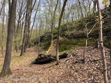 TBD Lily Lake Rd, Highland, NY 12528 - photo 5