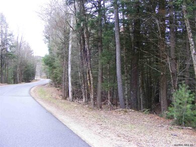 22 Horse Hill Rd, Hadley, NY 12835 - photo 3