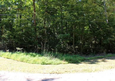 406 Harmony Ln, Burnside, KY 42519 - photo 6