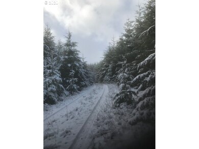 0 Gooseneck Creek Rd, Sheridan, OR 97378 - photo 7