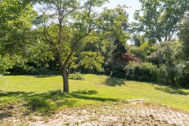 back yard view