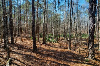 LOT 5&6 Green Acres Rd, Lincolnton, GA 30817 - photo 4