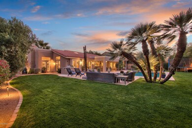 Lush Mature Green Landscaping