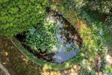 2224 Ambrose Way, Charlottesville, VA 22901 - photo 7