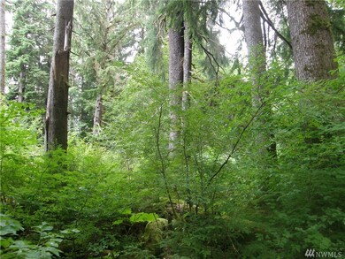 0 Elkhorn Rd, Raymond, WA 98577 - photo 2