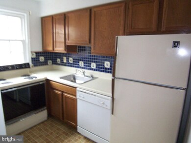 2910 13th Rd S unit 301, Arlington, VA 22204 - photo 5
