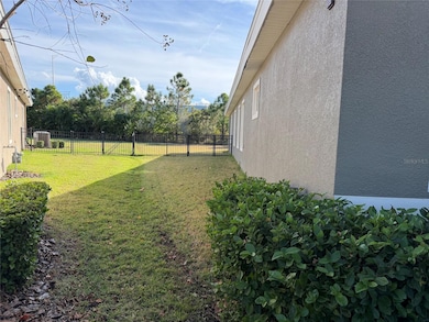 6204 Colmar Place, Apollo Beach, FL 33572 - photo 3