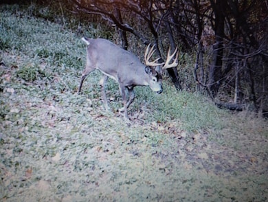 25005 Norhardt Ave, Ontario, WI 54651 - photo 2