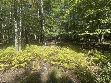 47 Daylily Ct, Terra Alta, WV 26764 - photo 4