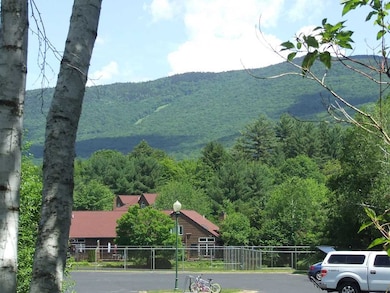 156 Deer Park Dr unit 132A, Woodstock, NH 03262 - photo 5