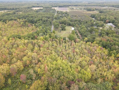 46th ave DJI_0690 (2)