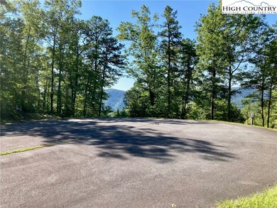 TBD Lady's Mantle Ln, Ferguson, NC 28624 - photo 5