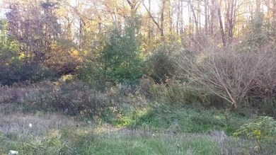 0 Chickamauga Ave unit 1350230, Rossville, GA 30741 - photo 4