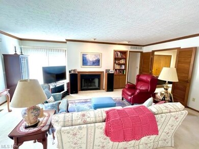 Carpeted living room with crown molding and gas fireplace