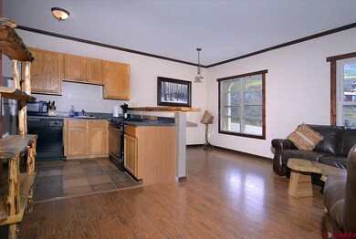 12 Snowmass Rd unit A, Crested Butte, CO 81225 - photo 3