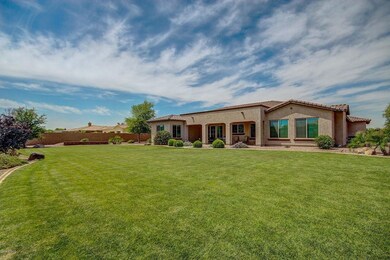 Very Private Backyard