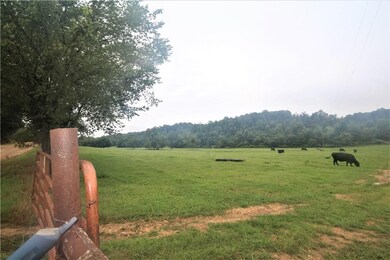 52.36 Acres Butler Rd, Siloam Springs, AR 72761 - photo 2