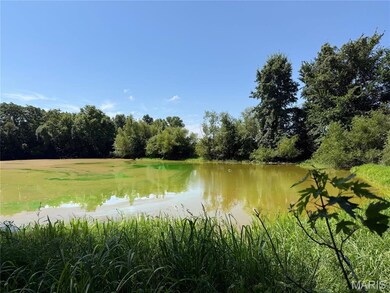 14.8 ac 6120 Kk Rd, Waterloo, IL 62298 - photo 3