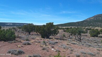 0 Windsor Valley Ranch unit 254962, Concho, AZ 85924 - photo 2