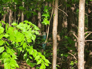 7144 Browns Mill Rd, Lithonia, GA 30038 - photo 2