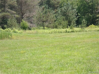 0 VL Java Lake Rd, Arcade, NY 14009 - photo 5