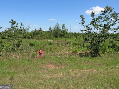 1 Goolsby Rd, Ellaville, GA 31806 - photo 3