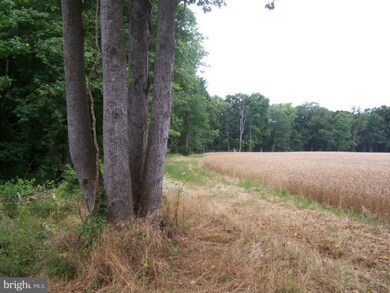 148 Ocean Gateway Hwy, Queenstown, MD 21658 - photo 6